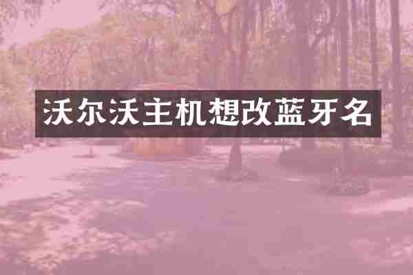 沃尔沃主机想改蓝牙名
