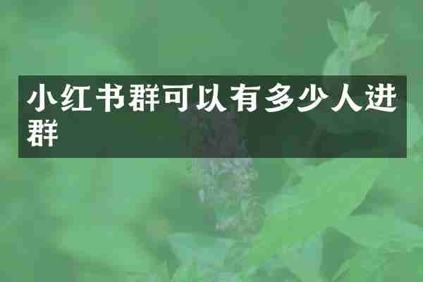 小红书群可以有多少人进群