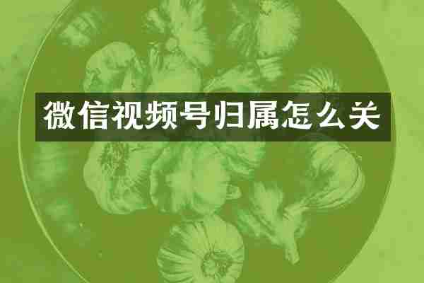微信视频号归属怎么关