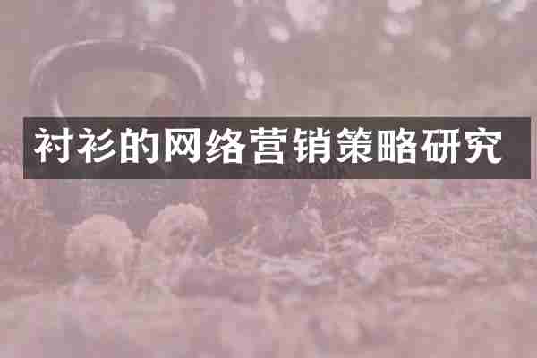 衬衫的网络营销策略研究