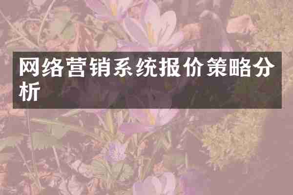 网络营销系统报价策略分析