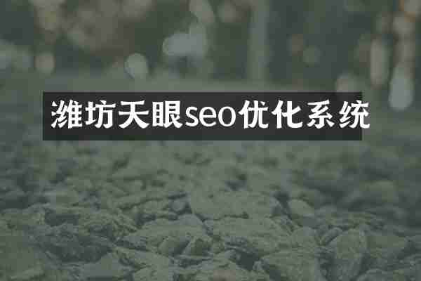 潍坊天眼seo优化系统