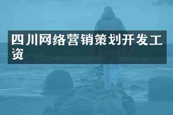 四川网络营销策划开发工资