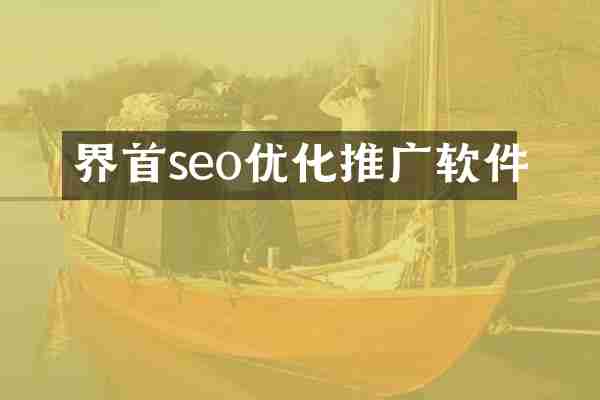 界首seo优化推广软件