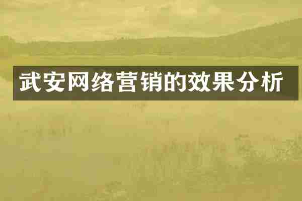 武安网络营销的效果分析