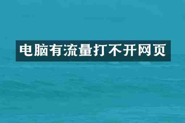 电脑有流量打不开网页