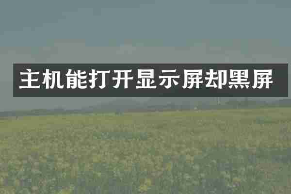 主机能打开显示屏却黑屏