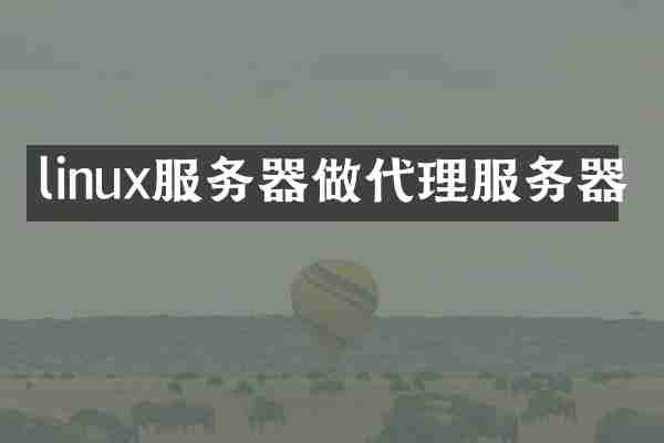 linux服务器做代理服务器