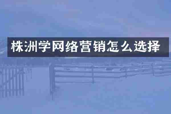 株洲学网络营销怎么选择