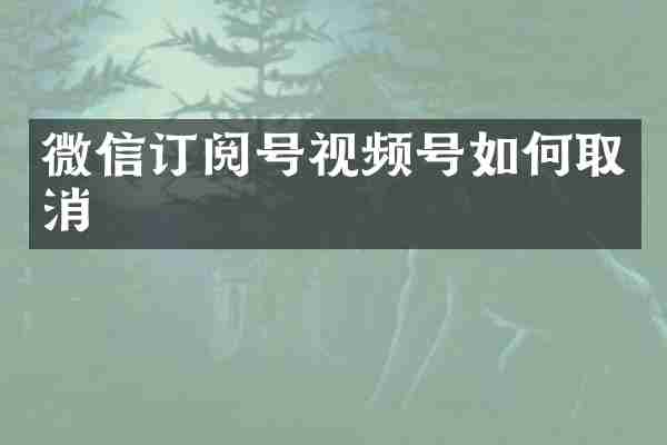 微信订阅号视频号如何取消