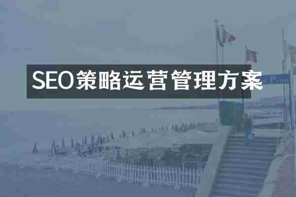 SEO策略运营管理方案