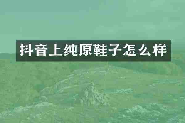 抖音上纯原鞋子怎么样