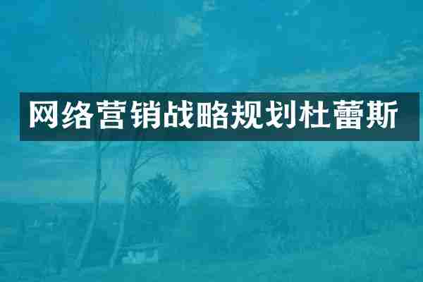 网络营销战略规划杜蕾斯