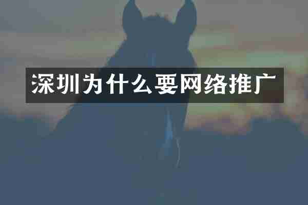 深圳为什么要网络推广