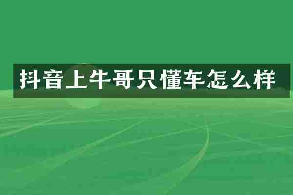 抖音上牛哥只懂车怎么样