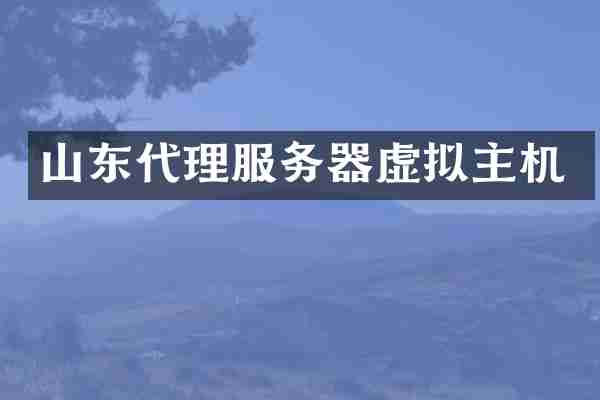 山东代理服务器虚拟主机