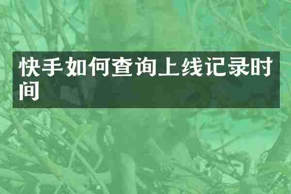 快手如何查询上线记录时间