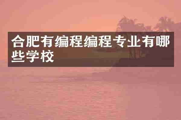 合肥有编程编程专业有哪些学校