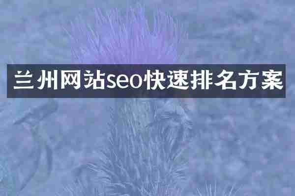 兰州网站seo快速排名方案