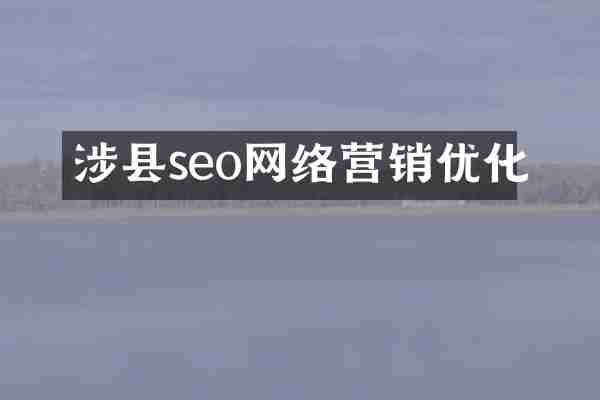 涉县seo网络营销优化