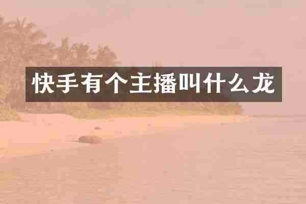 快手有个主播叫什么龙