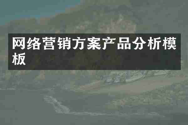 网络营销方案产品分析模板