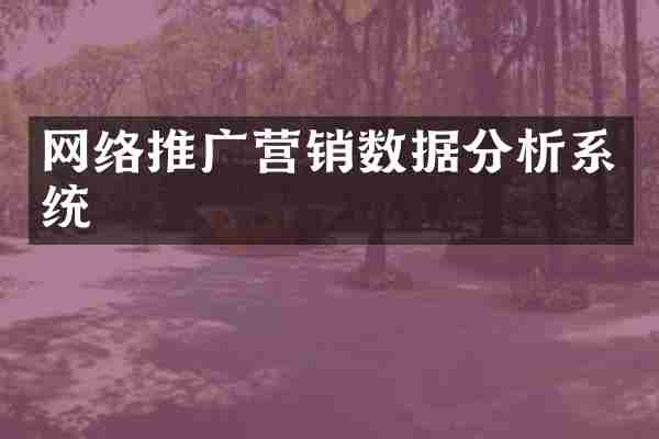 网络推广营销数据分析系统