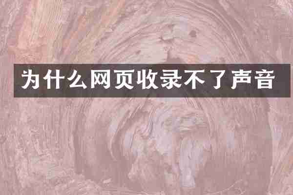 为什么网页收录不了声音
