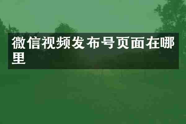 微信视频发布号页面在哪里