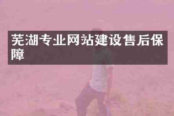 芜湖专业网站建设售后保障