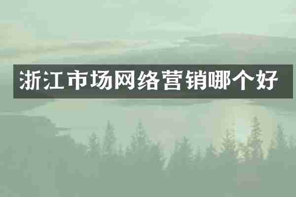 浙江市场网络营销哪个好