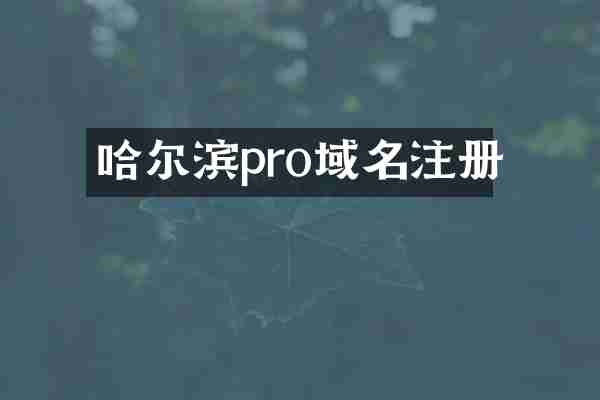 哈尔滨pro域名注册