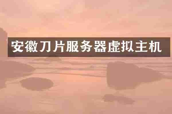 安徽刀片服务器虚拟主机