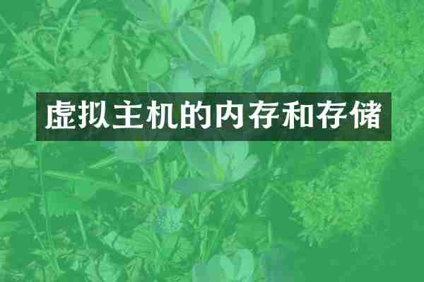 虚拟主机的内存和存储