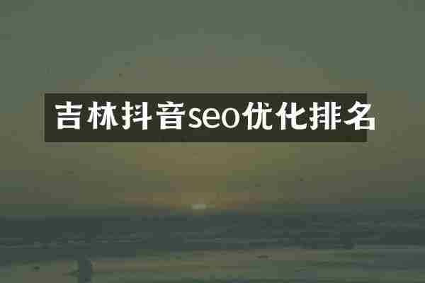 吉林抖音seo优化排名