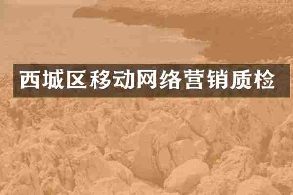 西城区移动网络营销质检