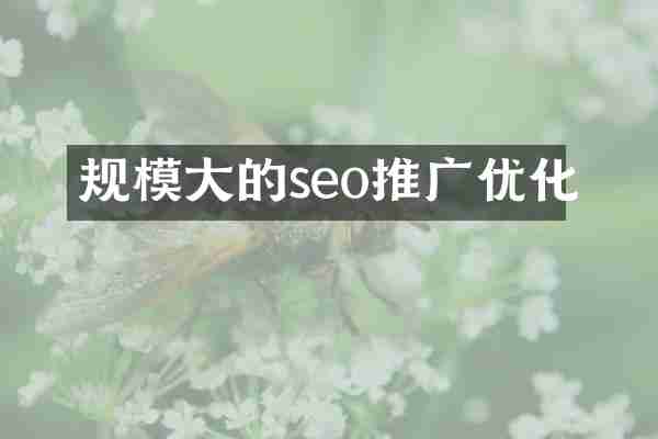 规模大的seo推广优化