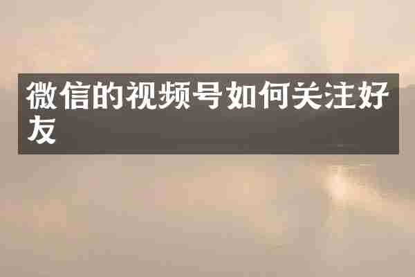 微信的视频号如何关注好友