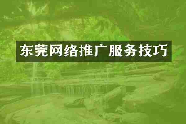 东莞网络推广服务技巧