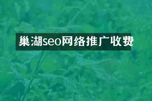 巢湖seo网络推广收费
