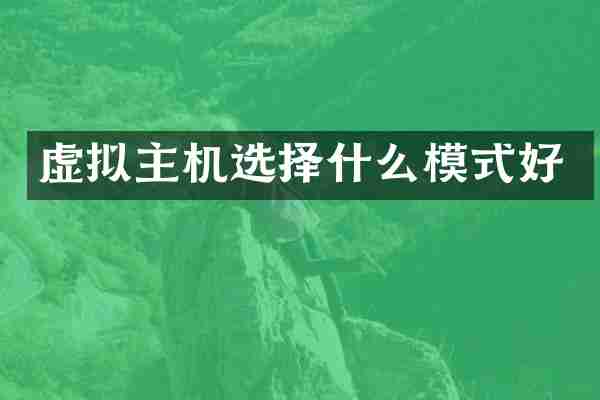 虚拟主机选择什么模式好