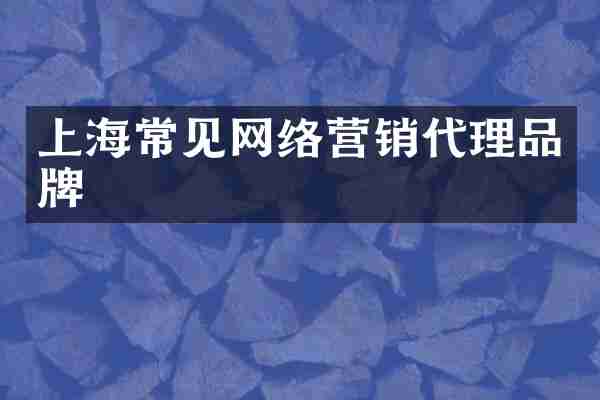 上海常见网络营销代理品牌
