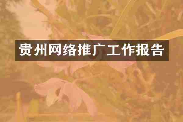 贵州网络推广工作报告