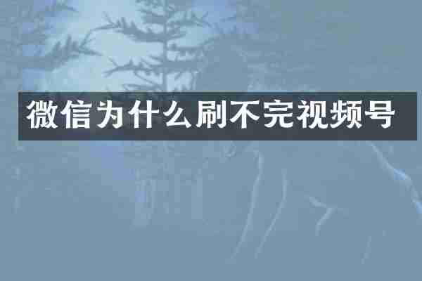 微信为什么刷不完视频号