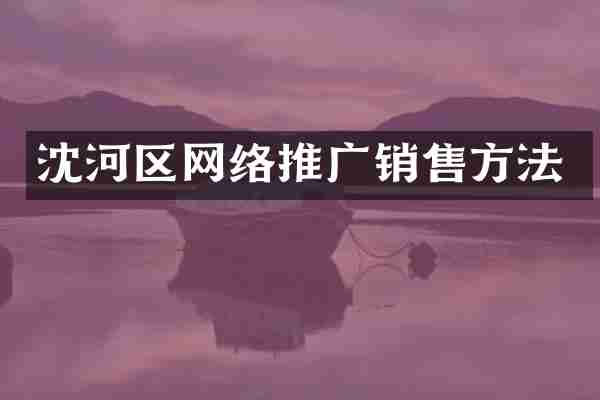 沈河区网络推广销售方法
