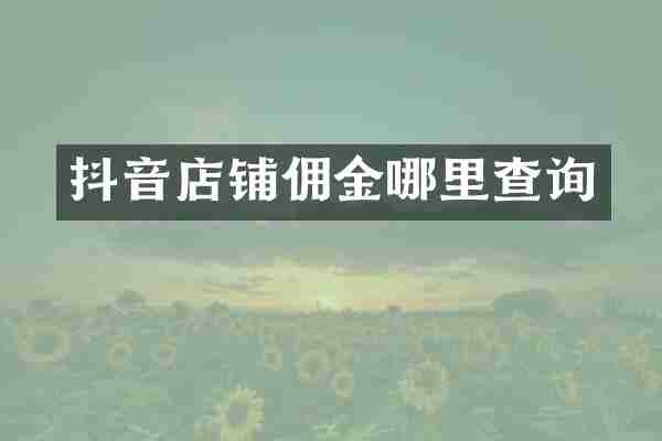 抖音店铺佣金哪里查询