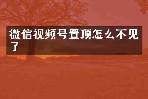 微信视频号置顶怎么不见了