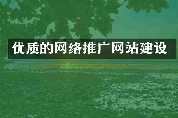 优质的网络推广网站建设