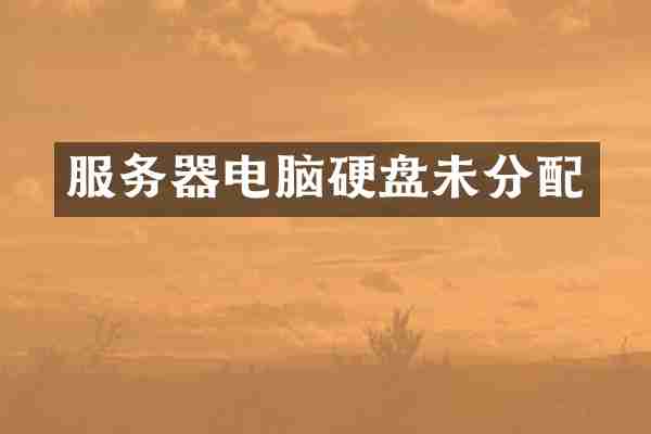 服务器电脑硬盘未分配