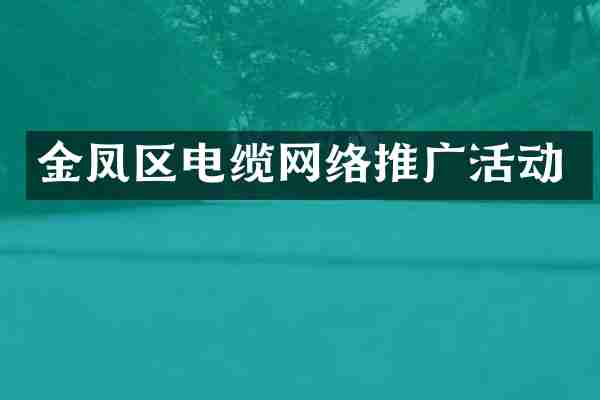 金凤区电缆网络推广活动
